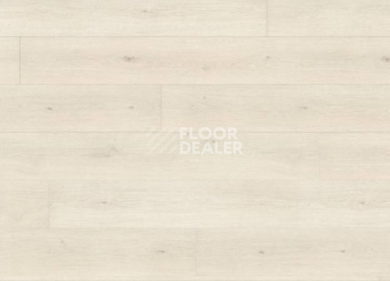 Ламинат Haro Tritty 100 Gran Via 4V ДУБ ЭМИЛИЯ БЕЛЫЙ 538765 фото 1 | FLOORDEALER